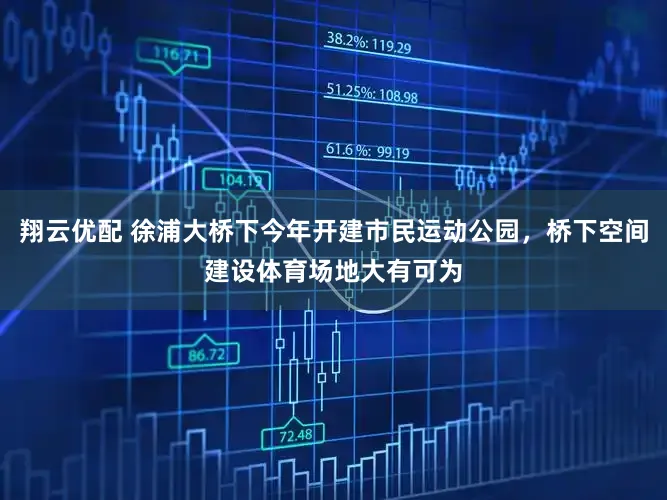 翔云优配 徐浦大桥下今年开建市民运动公园，桥下空间建设体育场地大有可为