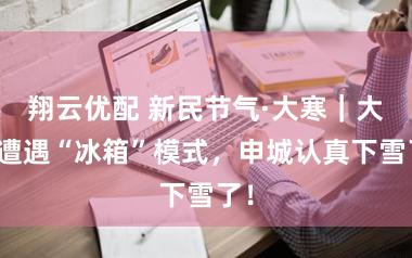 翔云优配 新民节气·大寒｜大寒遭遇“冰箱”模式，申城认真下雪了！