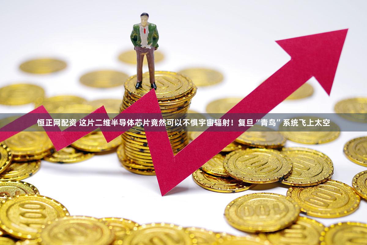 恒正网配资 这片二维半导体芯片竟然可以不惧宇宙辐射！复旦“青鸟”系统飞上太空