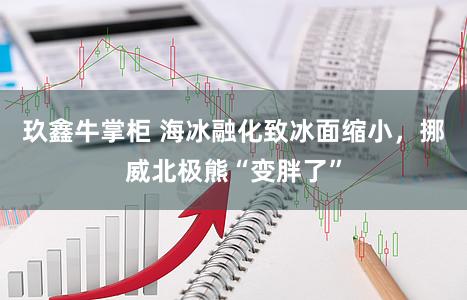 玖鑫牛掌柜 海冰融化致冰面缩小,挪威北极熊“变胖了”