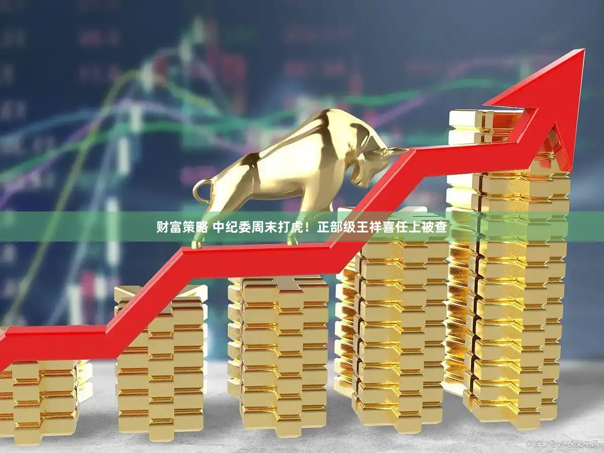 财富策略 中纪委周末打虎！正部级王祥喜任上被查