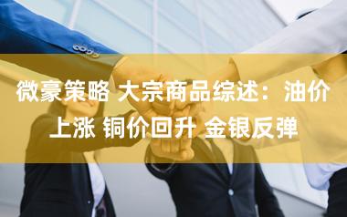 微豪策略 大宗商品综述：油价上涨 铜价回升 金银反弹