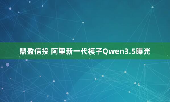 鼎盈信投 阿里新一代模子Qwen3.5曝光
