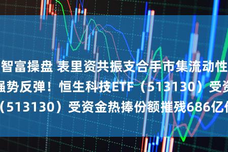 智富操盘 表里资共振支合手市集流动性，港股科技板块强势反弹！恒生科技ETF（513130）受资金热捧份额摧残686亿份！