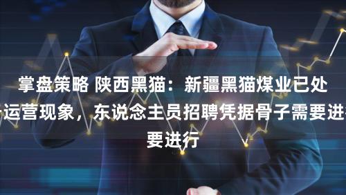 掌盘策略 陕西黑猫：新疆黑猫煤业已处于运营现象，东说念主员招聘凭据骨子需要进行