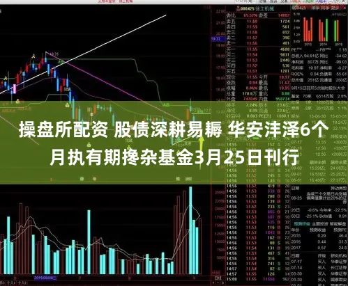 操盘所配资 股债深耕易耨 华安沣泽6个月执有期搀杂基金3月25日刊行