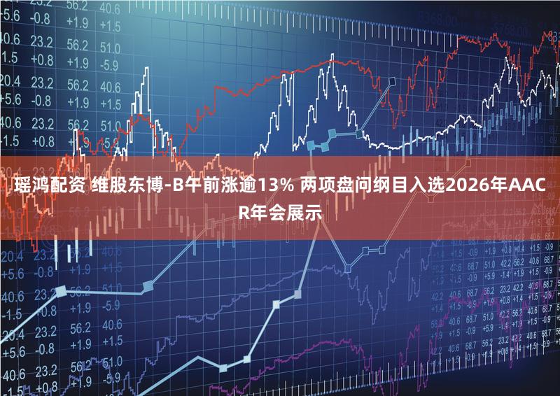 瑶鸿配资 维股东博-B午前涨逾13% 两项盘问纲目入选2026年AACR年会展示
