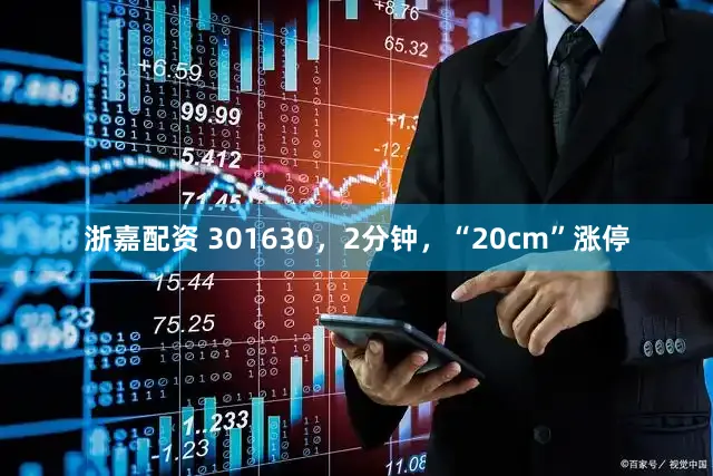 浙嘉配资 301630,2分钟,“20cm”涨停