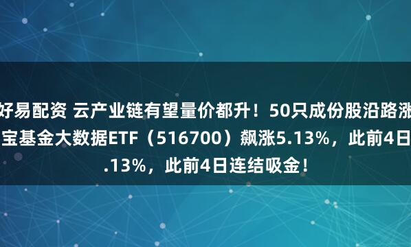 好易配资 云产业链有望量价都升！50只成份股沿路涨超2%，华宝基金大数据ETF（516700）飙涨5.13%，此前4日连结吸金！