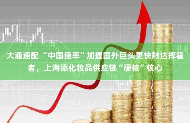 大通速配 “中国速率”加握国外巨头更快触达挥霍者,上海添化妆品供应链“硬核”核心