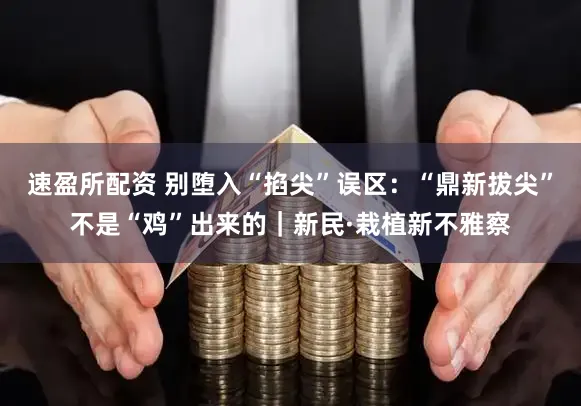 速盈所配资 别堕入“掐尖”误区：“鼎新拔尖”不是“鸡”出来的｜新民·栽植新不雅察