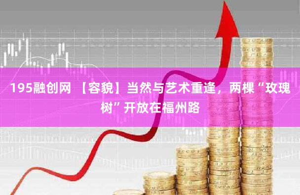 195融创网 【容貌】当然与艺术重逢，两棵“玫瑰树”开放在福州路