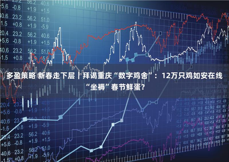 多盈策略 新春走下层|拜谒重庆“数字鸡舍”:12万只鸡如安在线“坐褥”春节鲜蛋?