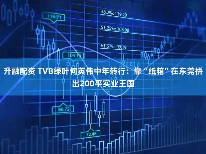 升融配资 TVB绿叶何英伟中年转行：靠“纸箱”在东莞拼出200平实业王国