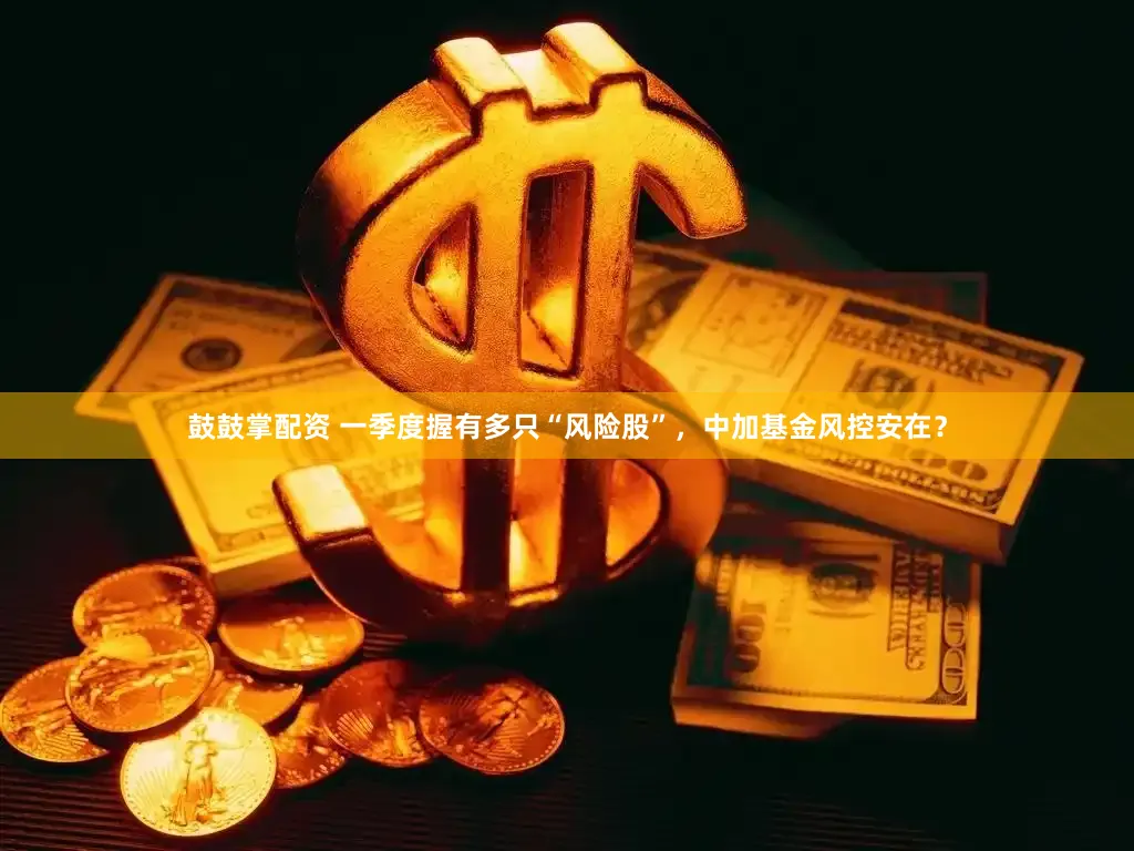 鼓鼓掌配资 一季度握有多只“风险股”，中加基金风控安在？