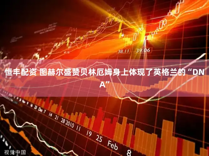恒丰配资 图赫尔盛赞贝林厄姆身上体现了英格兰的“DNA”